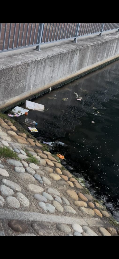 河川に滞留する不法投棄の現地写真